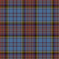 Anderson 1 tartan