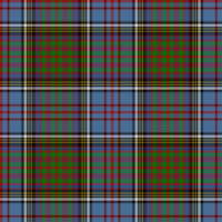 Anderson 8 tartan