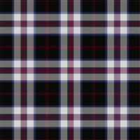 Angus dress tartan