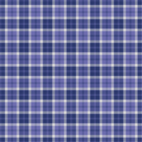 Bannockbane   tartan