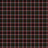 Black (symmetrical) tartan