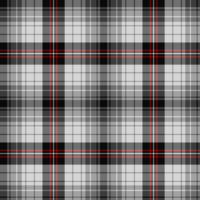 Black and White tartan