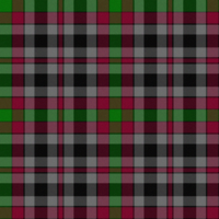 Borthwick  tartan