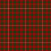 Bruce tartan