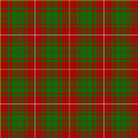 Bruce tartan