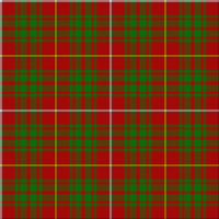 Bruce  tartan