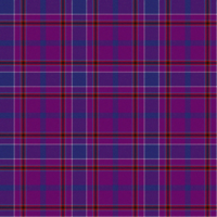 Custer (Personal) tartan