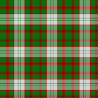 Livingstone Wedding Dress tartan