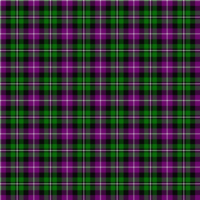 MacNeil 2 tartan