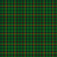 McCamley (Personal) tartan