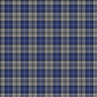 Napier tartan