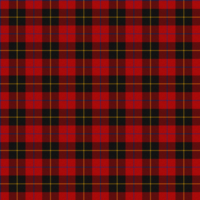 Skinner tartan