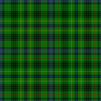 Stewart hunting  tartan